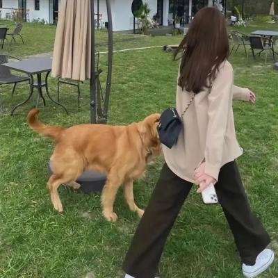 爱情重拍中